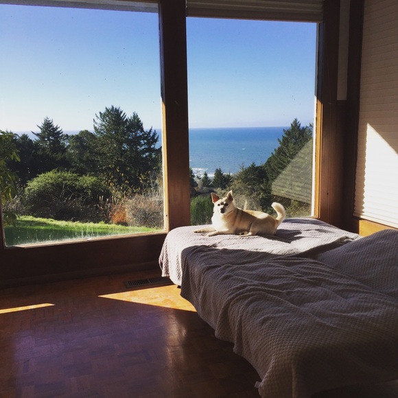 🖖🏼 - Picture 4 of 10